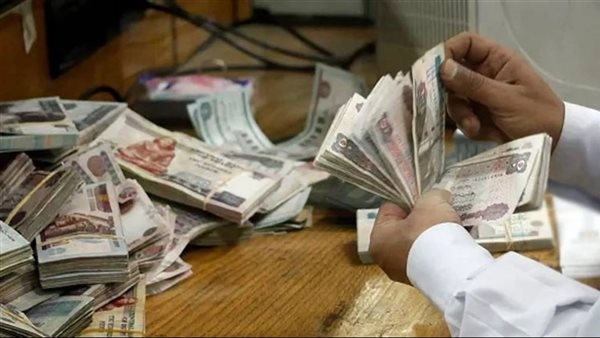 إحالة 4 سكرتيرات بمدارس لغات بالشيخ زايد لاختلاس 3 ملايين جنيه وتزوير دفاتر