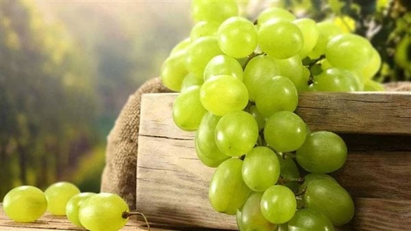 العنب بـ60 جنيها للكيلو والتفاح يسجل 100.. أسعار الفاكهة خلال عيد الأضحى
