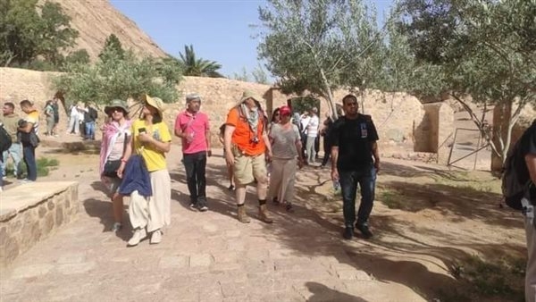أمين الفتوى: إساءة معاملة السياح إضرار بالمال العام ومحرمة شرعًا