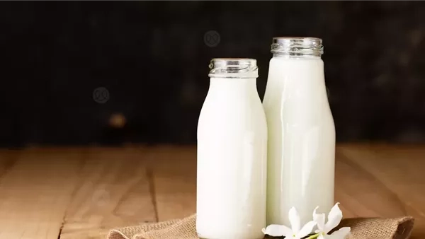 تعرف على الفوائد الصحية لشرب الحليب كامل الدسم