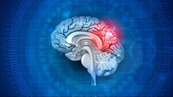 دراسة حديثة تكشف مسارًا خلويًا رئيسيًا قد يؤدي إلى أمراض التنكس العصبي