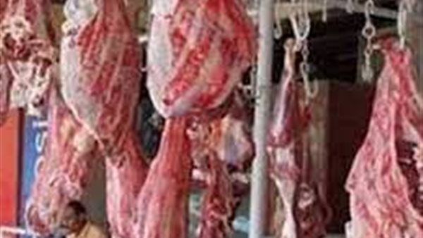 رغم ارتفاع البنزين والسولار.. الزراعة: كيلو اللحوم في منافذنا بـ250 جنيهًا