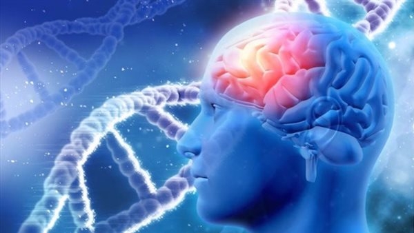 يقلل أعراض الزهايمر.. دراسة تكشف نوعا من الأعشاب يفيد صحة الدماغ