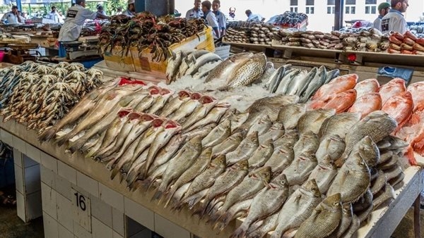 أسعار الأسماك اليوم الثلاثاء 20 مايو 2025 في سوق العبور لتجارة الجملة