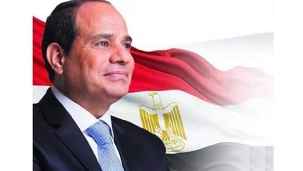 مصر والدنمارك تشددان على ضرورة بدء إعادة إعمار غزة وإقامة دولة فلسطينية عاصمتها القدس الشرقية