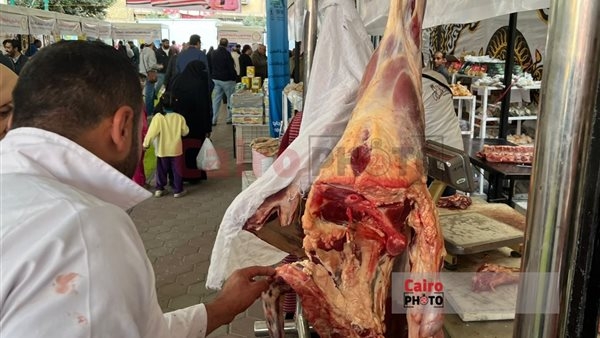 اقترب من الـ500 جنيه.. طلب إحاطة لمجلس الوزراء بشأن سعر كيلو اللحم