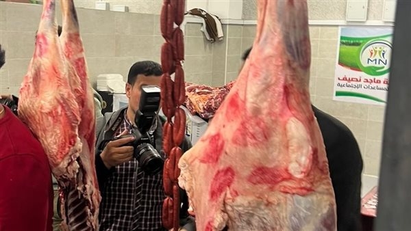 شعبة المستوردين: توفير جميع احتياجات السوق من اللحوم المستوردة لعيد الأضحى