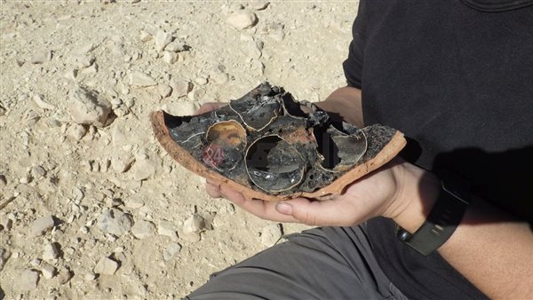 لأول مرة.. البعثة الإسبانية بالأقصر تكشف عن بيض محنط لطائرة أبو منجل