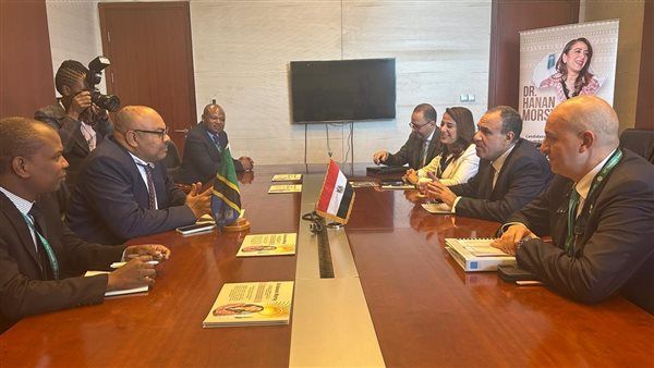 لبحث تعزيز التعاون.. وزير الخارجية يلتقي نظيره التنزاني