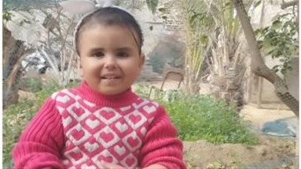 بأقل الإمكانيات.. صغيرة فلسطينية تحصد تفاعلا كبيرا بفيدوهات تحضير الطعام