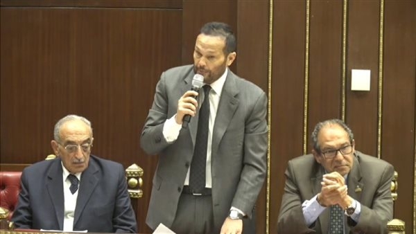 النائب محمد حلاوة: وزارة الصناعة بقيادة الفريق كامل الوزير تؤدي دورًا كبيرًا لإعادة تشغيل المصانع المتعثرة