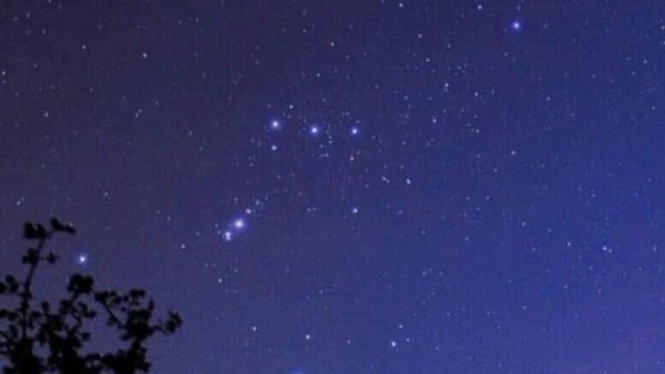 خلال ليالي رمضان.. نجوم الجوزاء تنحرف غربًا في السماء