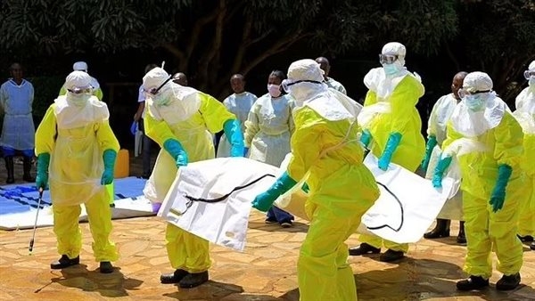 تحذيرات من 4 فيروسات منتشرة قد تؤدي إلى جائحة