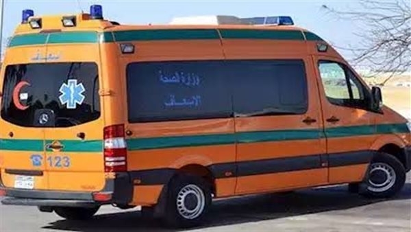 بها ضربات آلة حادة.. مقتل سيدة عمرها 75 عاما على يد نجلها في قنا