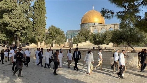 وسط دعوات تهويد الأقصى.. مرصد الأزهر يندد بالدور السلبي للمجتمع الدولي الصامت على جرائم إسرائيل