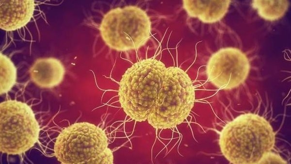 أمل جديد في مواجهة السيلان المقاوم للأدوية.. دواء جديد يُظهر نتائج واعدة