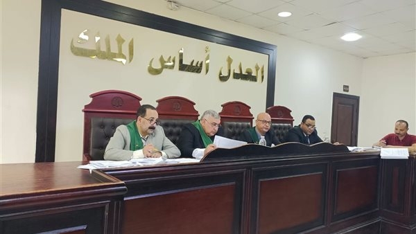 دفاعه طالب ببطلان الإجراءات.. تفاصيل جلسة محاكمة نجل عبد العزيز مخيون