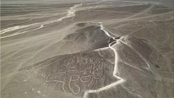 زلزال علمي.. الذكاء الاصطناعي يفك لغز خطوط نازكا أحد أعقد أسرار التاريخ القديم