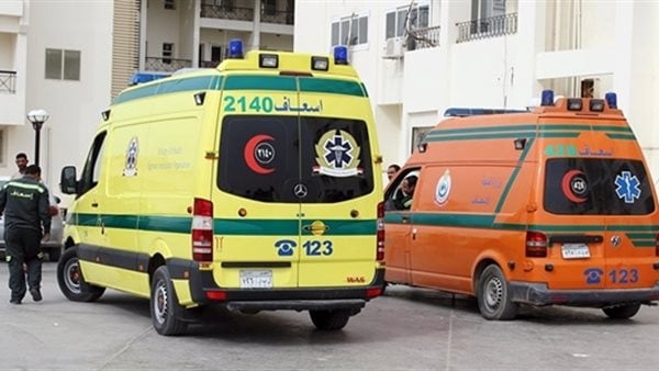 مصرع طالب دهسا أسفل عجلات قطار في الأقصر
