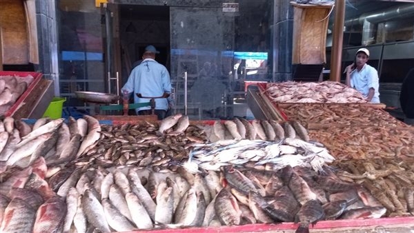 أسعار الأسماك اليوم الأحد 11 مايو 2025 في سوق العبور