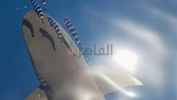ظهور القرش «لونج مانوس» بمنطقة شعاب الفنستون جنوب البحر الأحمر