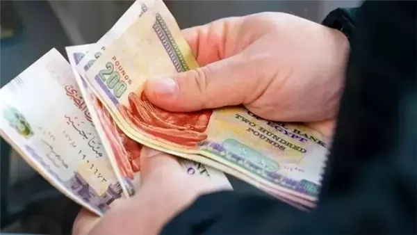 قبل العيد.. المالية تبدأ صرف مرتبات مايو 2025 بالقطاع الحكومي الأربعاء المقبل