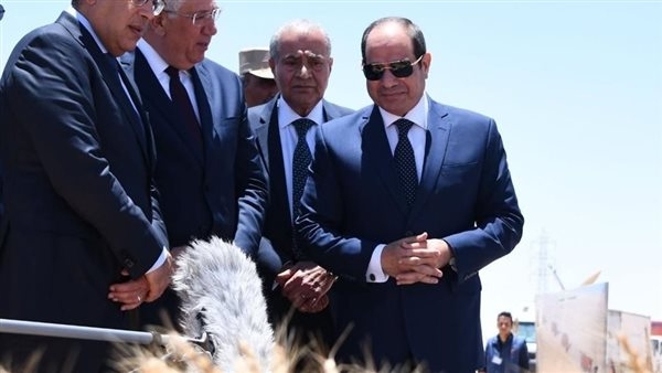 بحضور الرئيس السيسي.. مصادر: افتتاح موسم الحصاد لمشروع مستقبل مصر الأربعاء المقبل