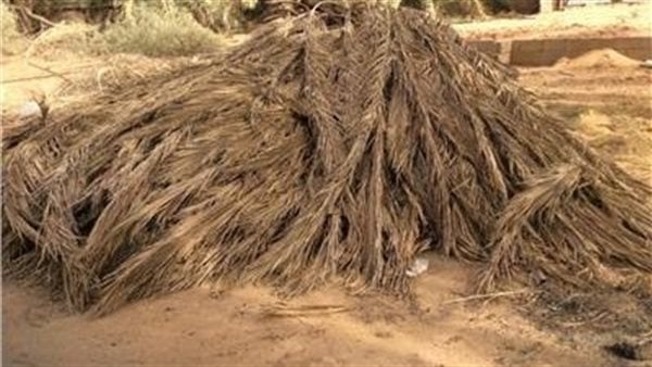 الحبس وغرامة تصل إلى مليون جنيه.. عقوبات مغلظة على حرق مخلفات النخيل بالوادي الجديد