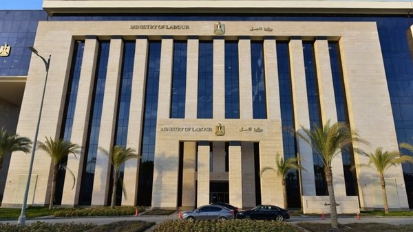 وظائف خالية في الأردن.. 6 فرص مميزة للمهتمين بمجال تربية الطيور