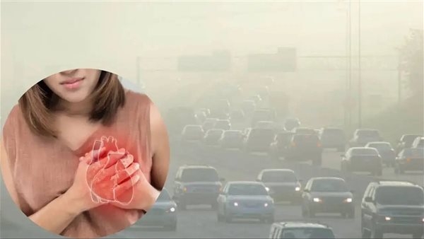 كيف يؤثر تلوث الهواء على مستويات ضغط الدم لدى النساء مقارنة بالرجال؟