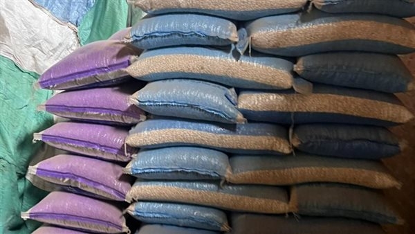 صحة القليوبية تضبط كميات من الفول المدشوش غير صالحة للاستهلاك بشبين القناطر