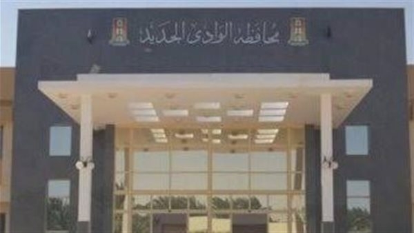 11 مليون جنيه.. صرف منحة العيد لـ 7359 مواطنًا من العمالة غير المنتظمة بالوادي الجديد