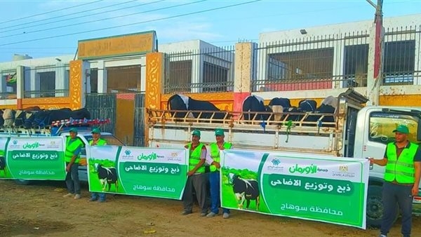 غدا.. تضامن سوهاج والطب البيطري يشرفان على ذبح 35 عجل بلدي بمناسبة عيد الأضحى في سوهاج