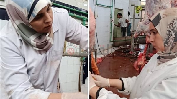 بيشبهونا بـ «بوحة» الطبيبتان نهاد ورشا تشاركان في الكشف على الأضاحي.. وأسرهما تدعمهما