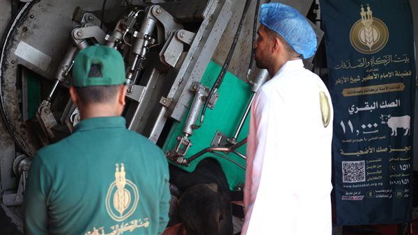 بيت الزكاة والصدقات يبدأ ذبح الأضاحي لتوزيع اللحوم على المستحقين