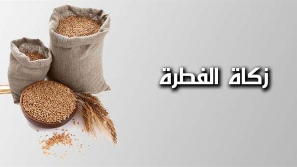 الإفتاء: الأفضل للفقير الآن إخراج زكاة الفطر نقودًا وليس حبوبًا