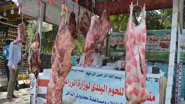 كيلو اللحوم بـ250 جنيهًا.. الزراعة تفتتح معارض لبيع السلع الغذائية بأسعار مخفضة قبل رمضان