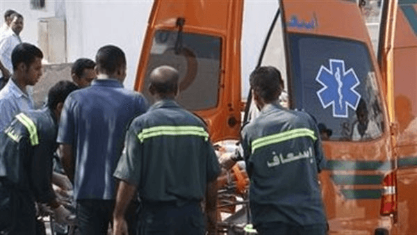 إصابة 15 عاملًا إثر انقلاب ميني باص بسبب حمار في الفيوم