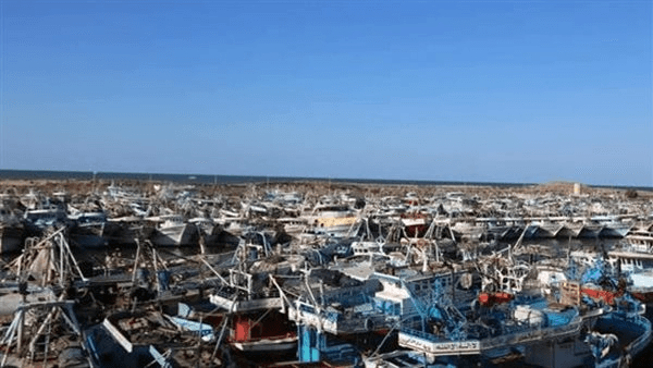 الثروة السمكية تبدأ تطبيق قرار وقف الصيد في البحر الأحمر غدًا