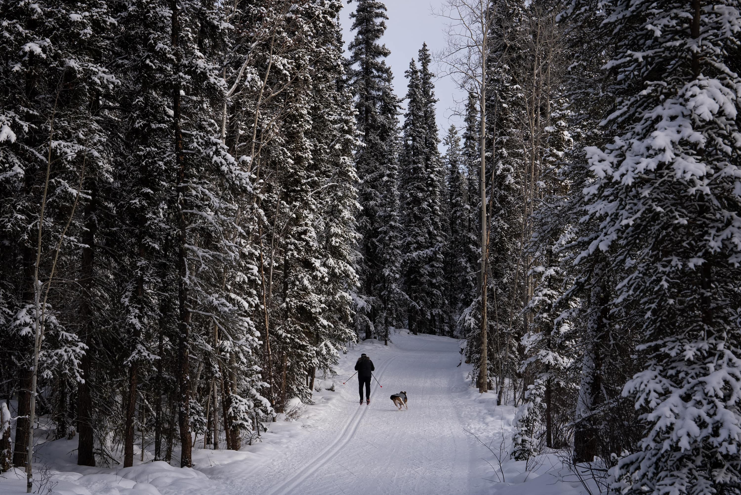 A skier's heart