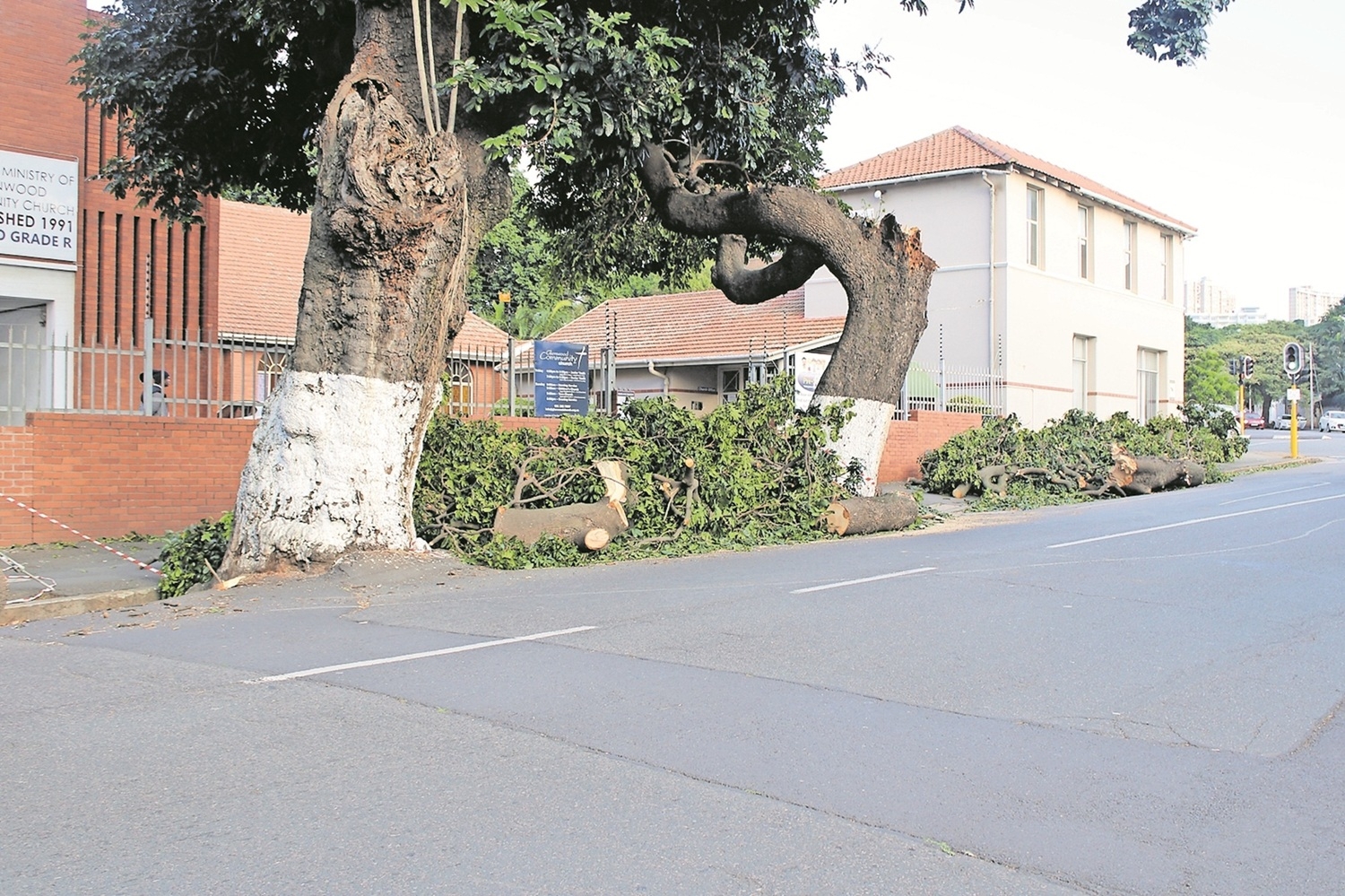 Aftermath of strong winds sparks high volume of electricity faults