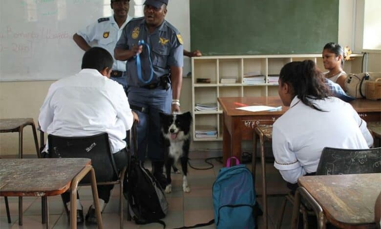 Durban Metro Police call on public to donate dogs for K9 Unit Training