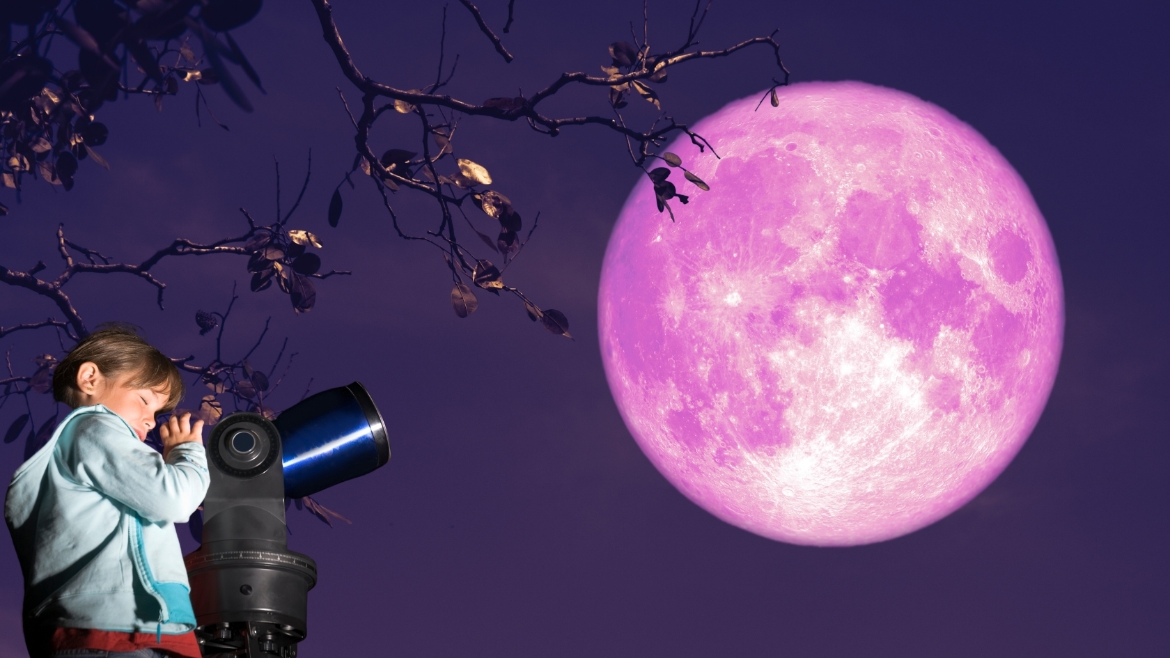 Strawberry moon: When would be the best time for Lowvelders to gaze up to the sky?