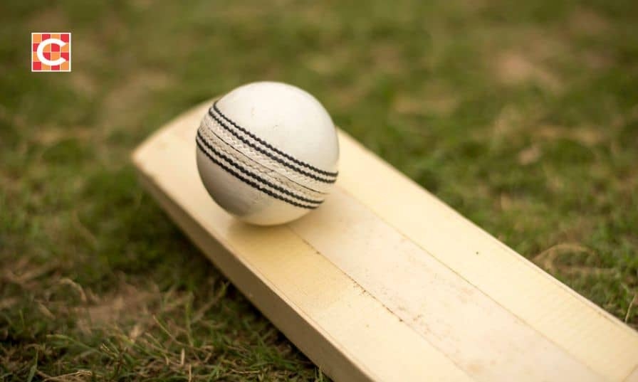 Dewald Brevis smashes highest Proteas T20I score against Australia