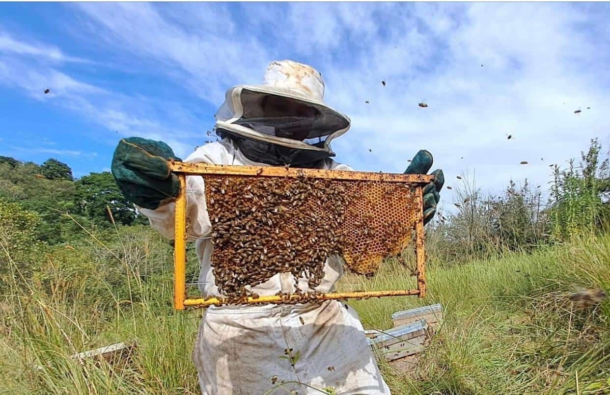 La Mercy honey entrepreneur buzzes her way to success