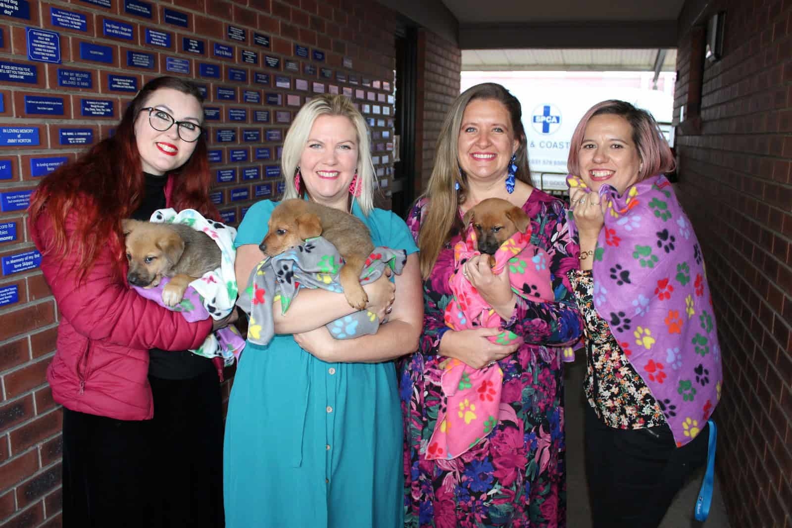 VIDEO: Local residents on sleepover mission for Durban and Coast SPCA