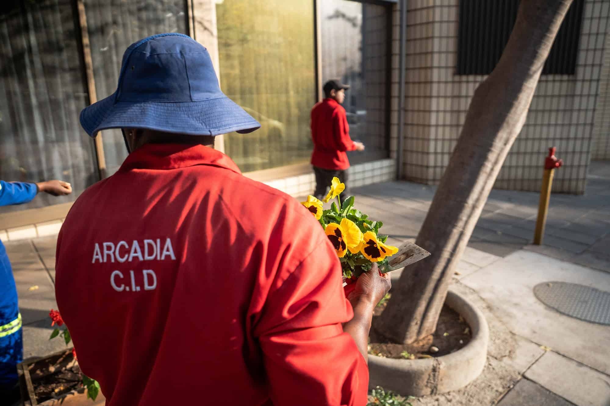 Arcadia CID plants hundreds of flowers on busy street