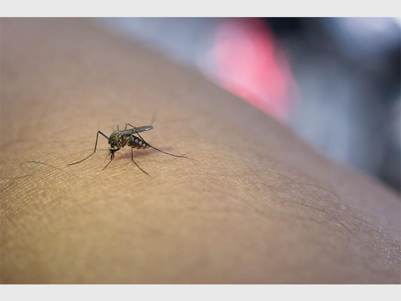 Be aware of malaria
