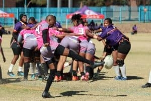 Pumas' late try seals the victory