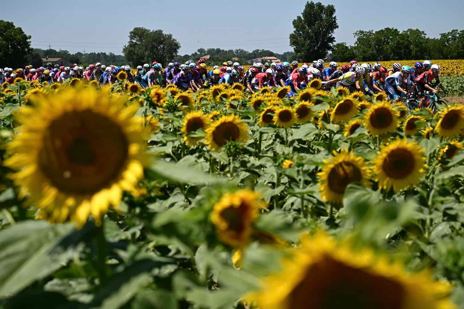 24 hours in pictures, 16 July 2025